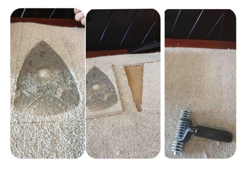 272375345 2388602857941759 8371100743334248268 n 1 768x542